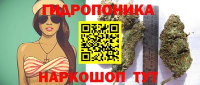 ALPHA PVP Северобайкальск